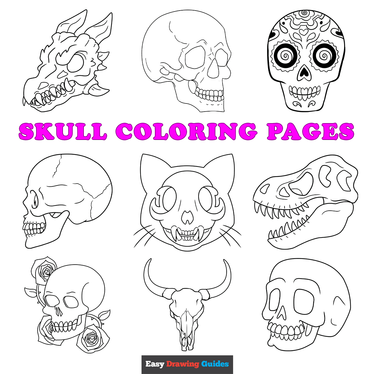 Free Printable Skull Coloring Pages For Kids