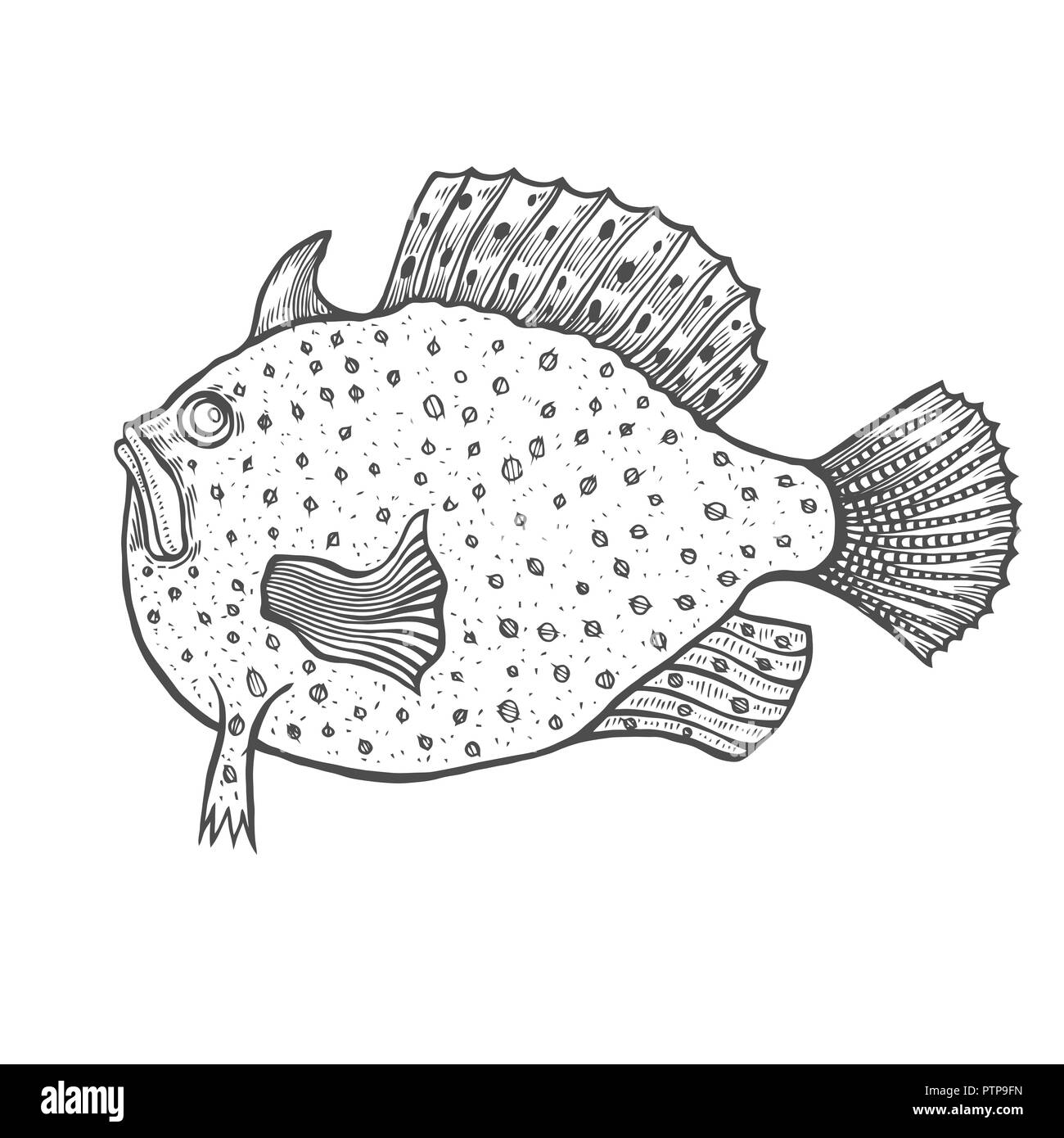 Funny Fish Coloring Pages Funny Fish Coloring Pages