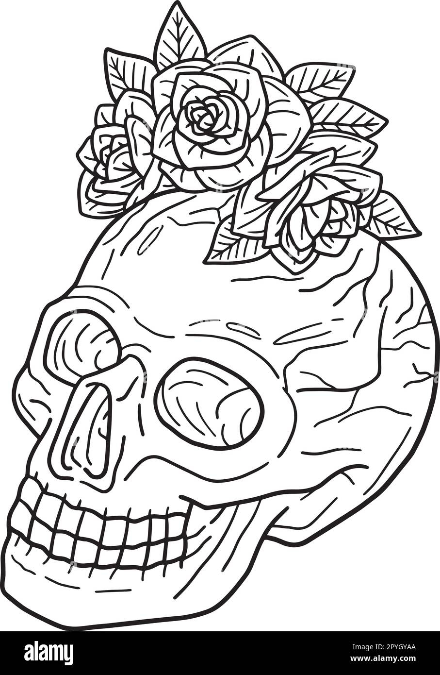 Halloween Skull With A Rose Isolated Coloring Page Stock Vector Image Art Alamy Halloween Skull With A Rose Isolated Coloring Page Stock Vector Image Art Alamy
