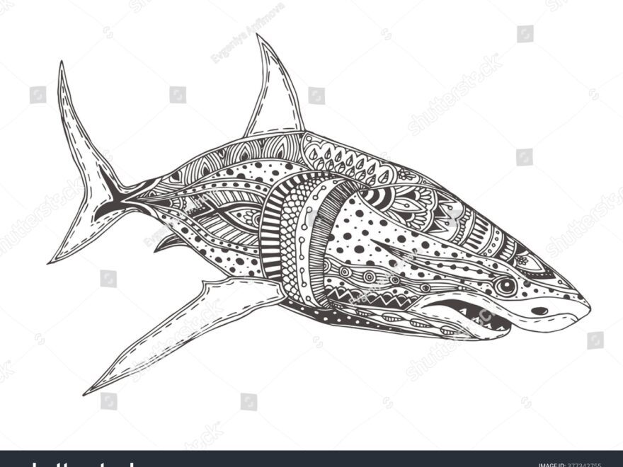 Hand drawn Shark Ethnic Doodle Pattern Coloring Stock Vector Royalty Free 377342755 Shutterstock