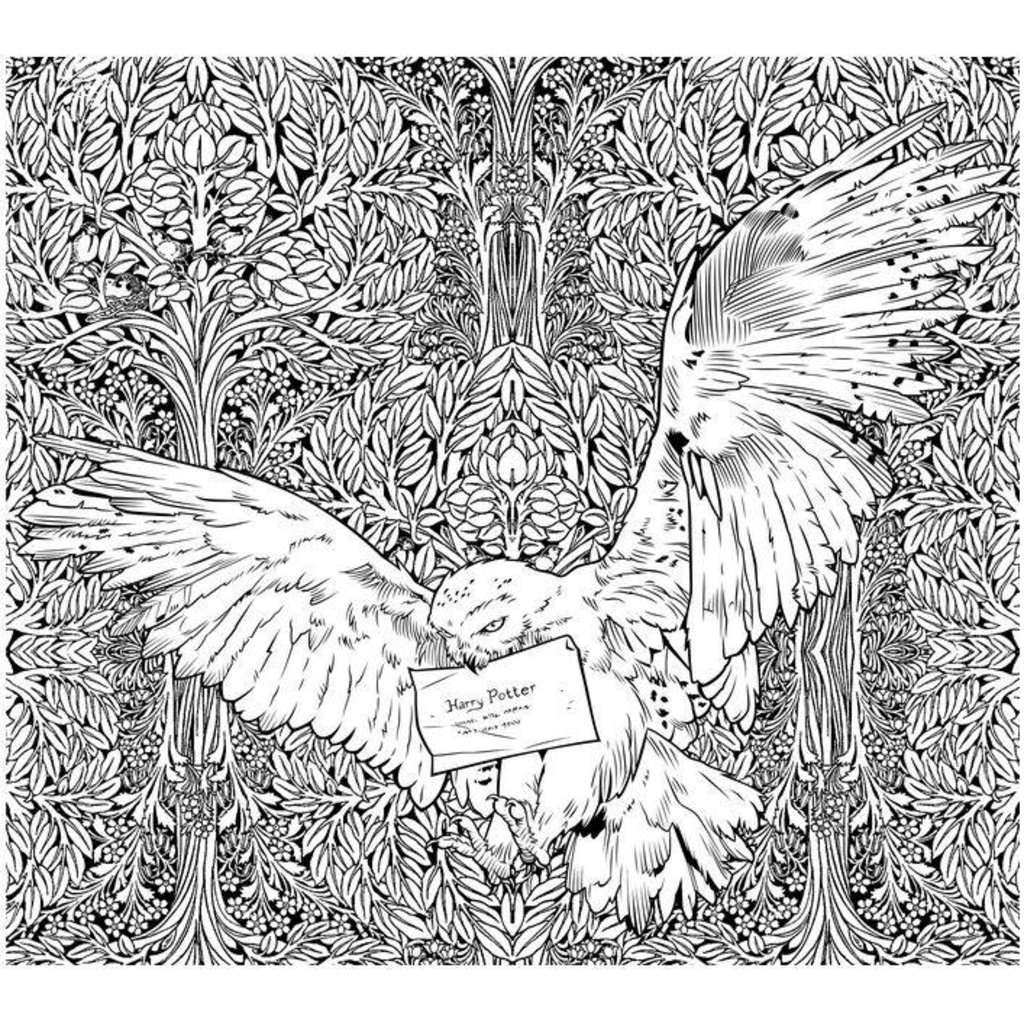 HARRY POTTER COLORING BOOK THE TOY STORE