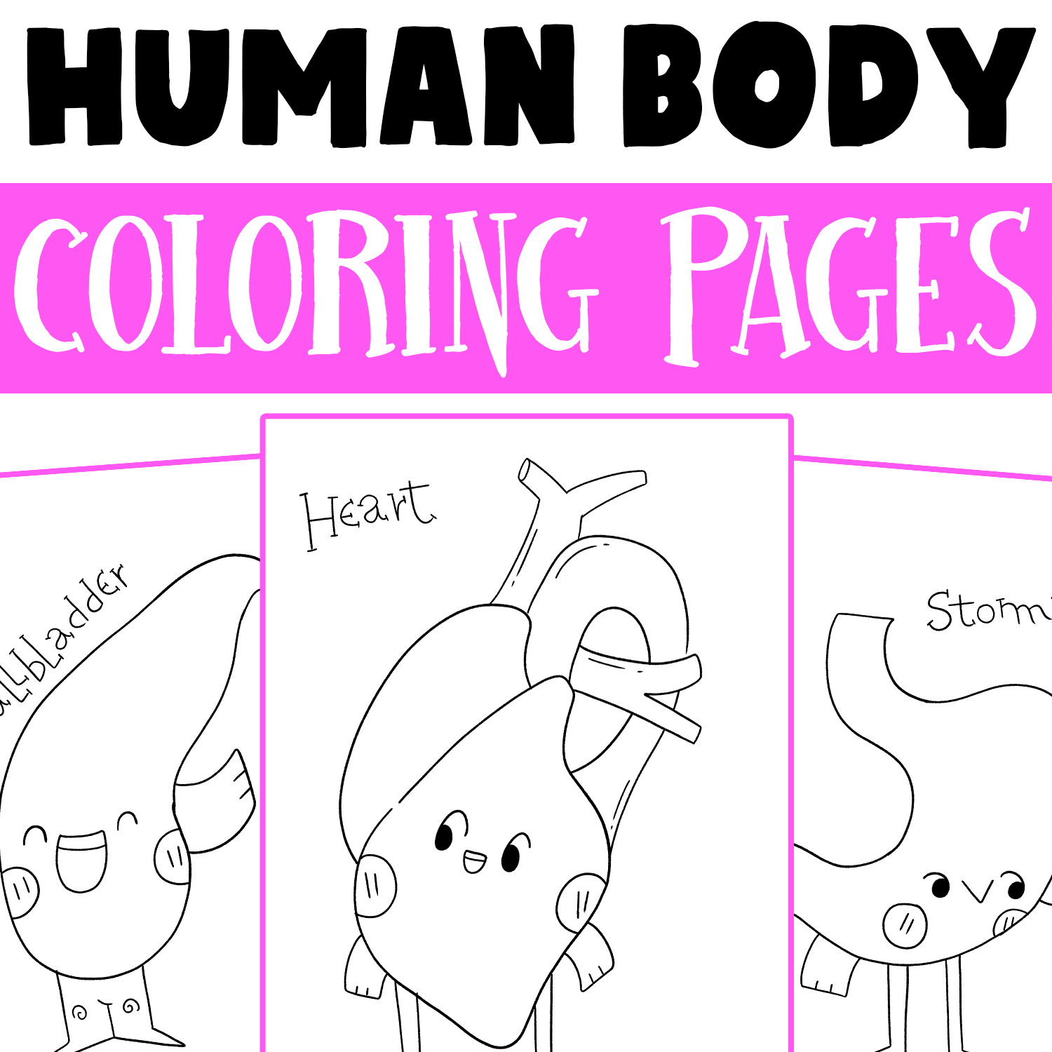 Human Body Systems Coloring Pages Human Anatomy Coloring Sheets For Kids Made By Teachers Human Body Systems Coloring Pages Human Anatomy Coloring Sheets For Kids Made By Teachers