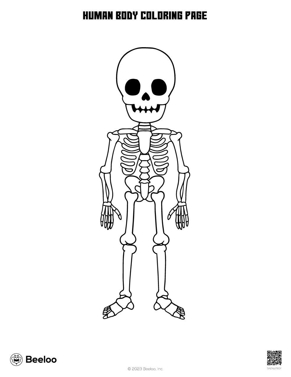 Human Body themed Coloring Pages Beeloo Printable Crafts And Activities For Kids Human Body themed Coloring Pages Beeloo Printable Crafts And Activities For Kids