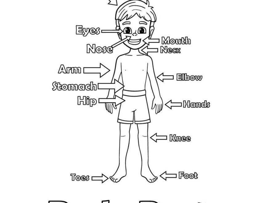 Human Body themed Coloring Pages Beeloo Printable Crafts And Activities For Kids
