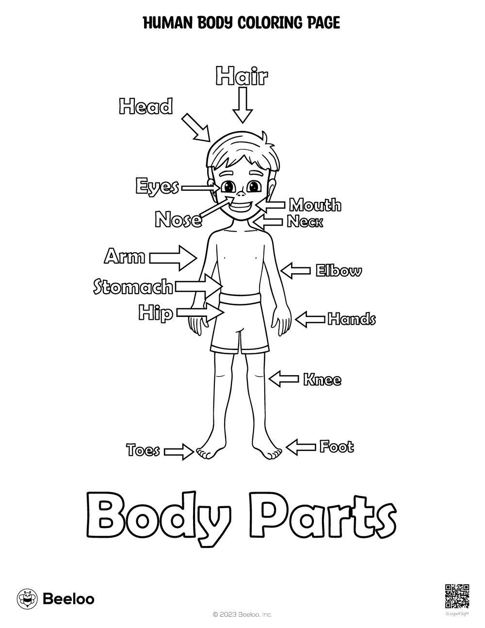 Human Body themed Coloring Pages Beeloo Printable Crafts And Activities For Kids Human Body themed Coloring Pages Beeloo Printable Crafts And Activities For Kids