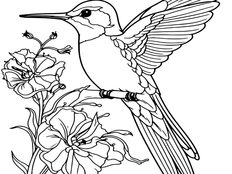 Hummingbird Coloring Book Hummingbird Coloring Pages Made By Teachers