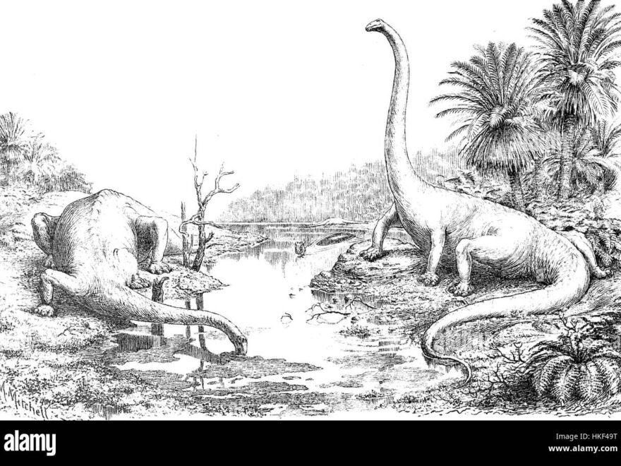 Jurassic Art Black And White Stock Photos Images Alamy