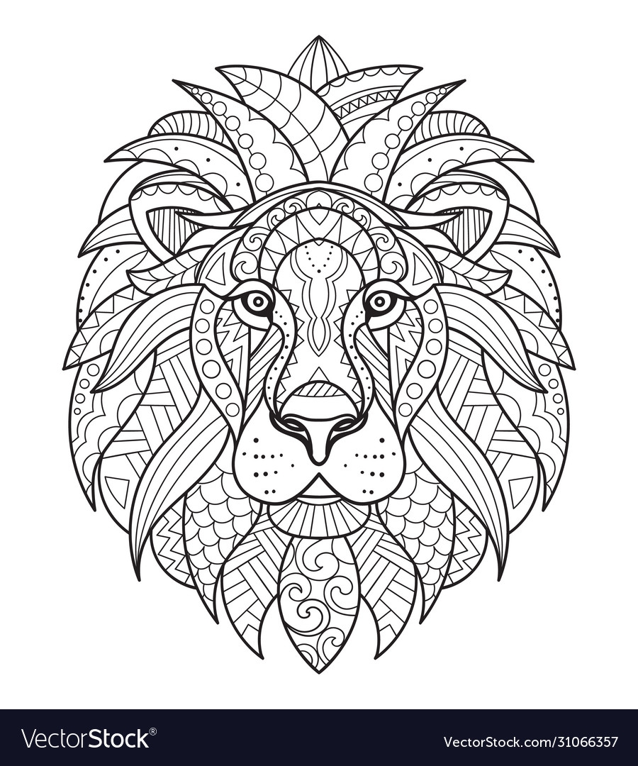 Lion Coloring For Adults Antistress Hand Drawn Vector Image