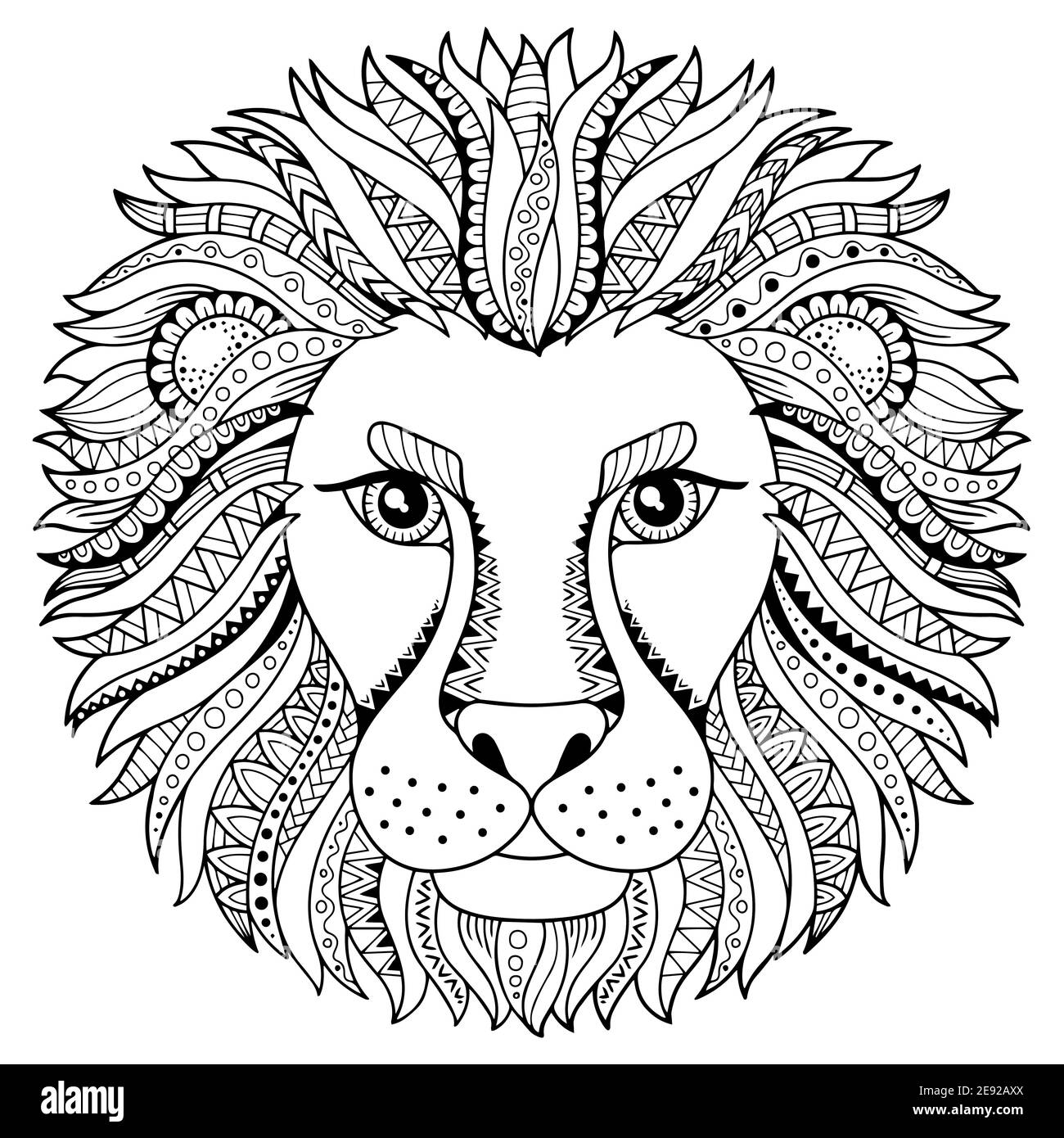 Lion Coloring Pages Hi res Stock Photography And Images Alamy