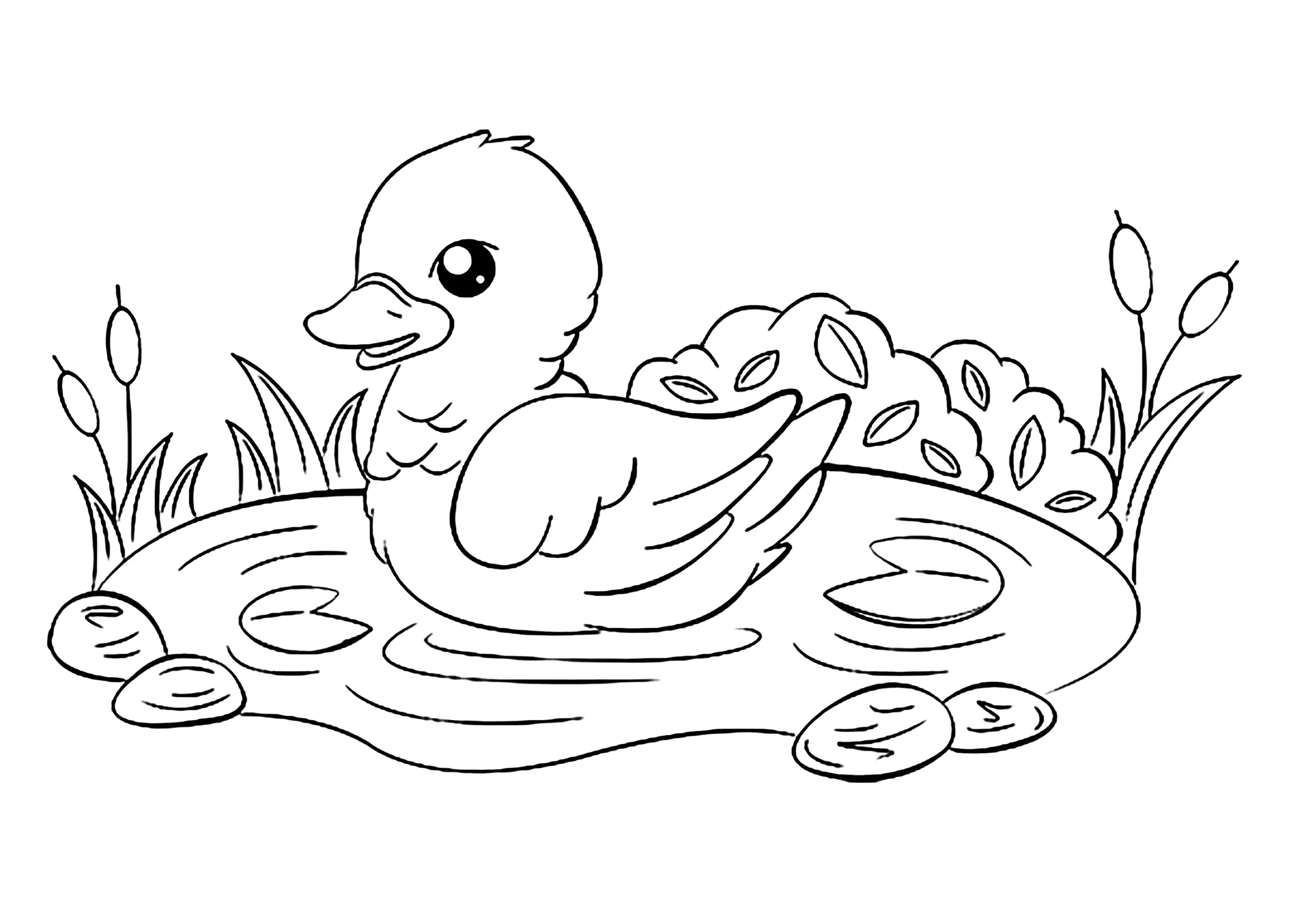 Little Duck In A Pond Bird Coloring Pages Little Duck In A Pond Bird Coloring Pages