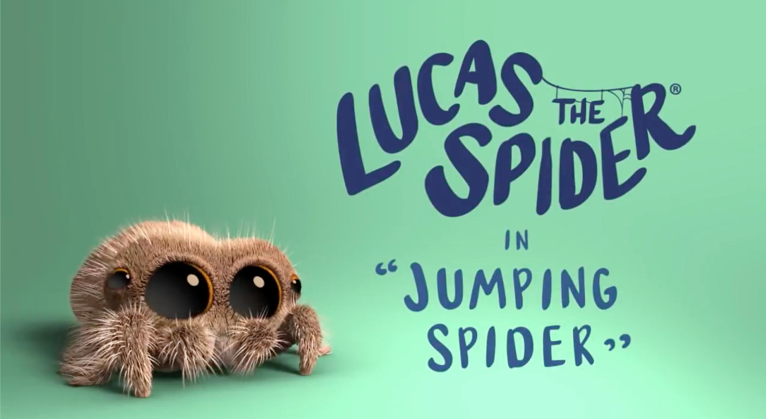 Lucas The Spider TV Series 2017 IMDb