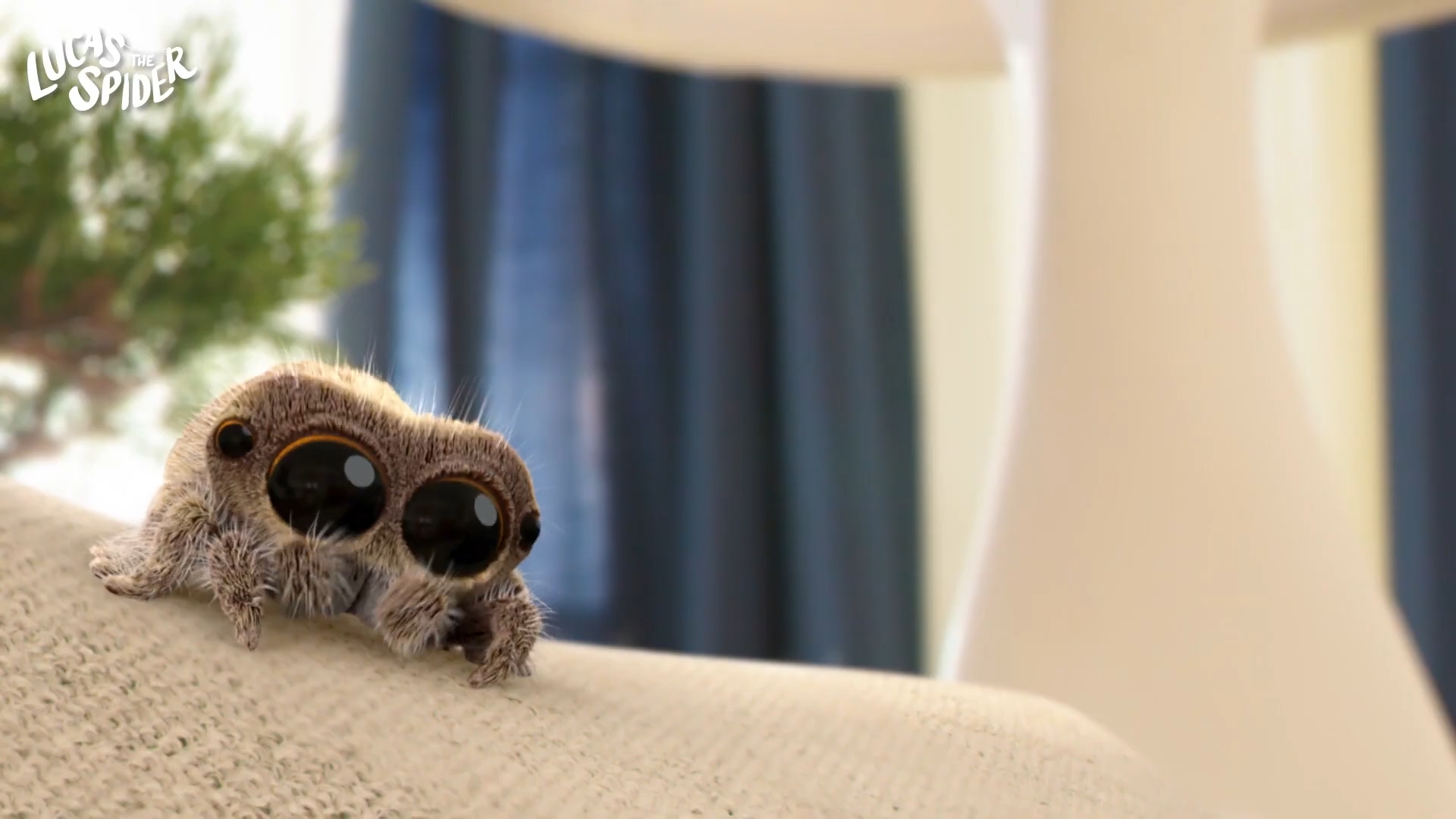 Lucas The Spider TV Series 2017 IMDb