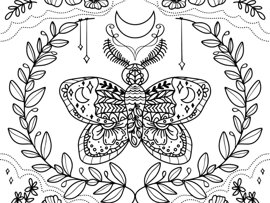 Moth Coloring Page Etsy