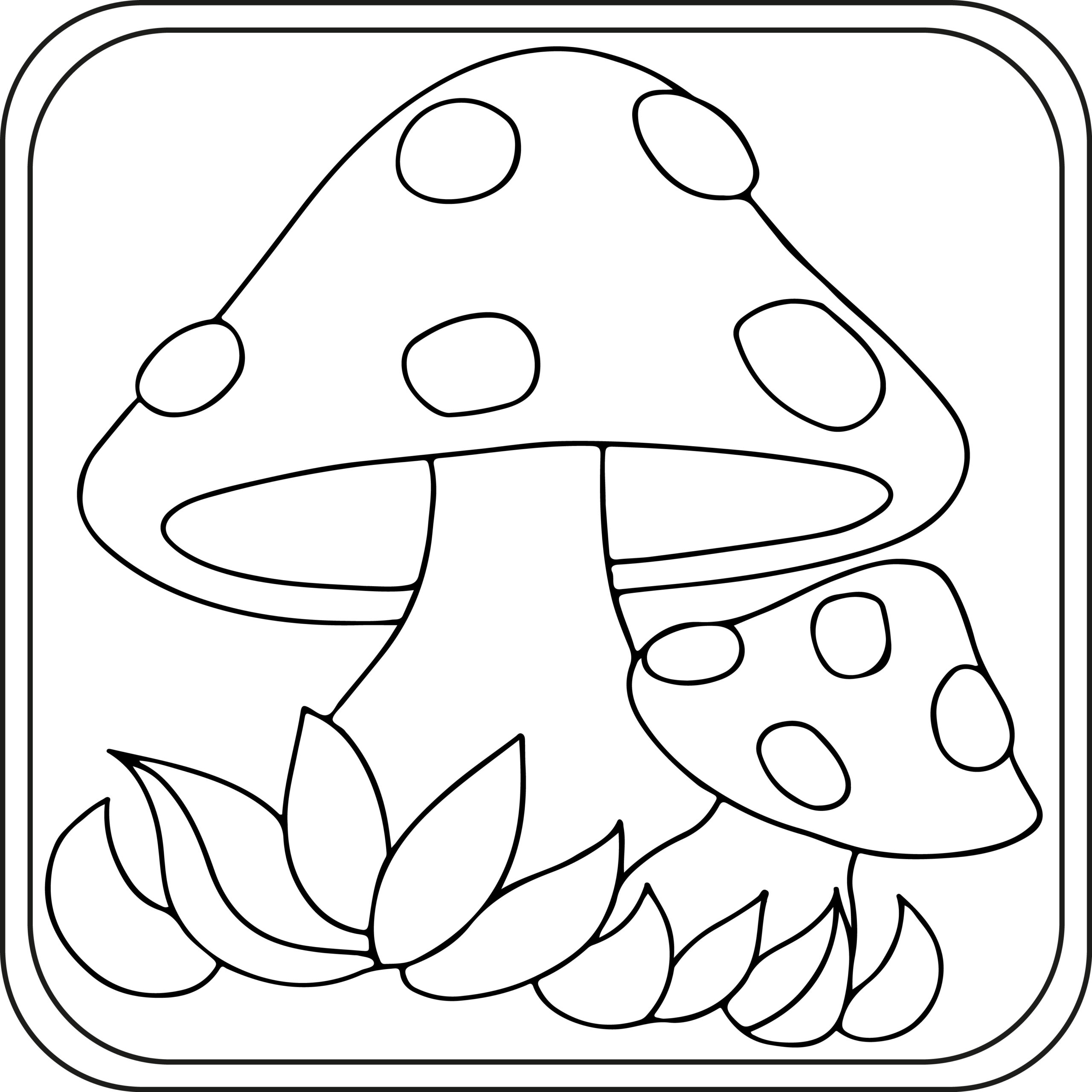 Mushroom Coloring Pages Preschool Kindergarten First Grade Made By Teachers Mushroom Coloring Pages Preschool Kindergarten First Grade Made By Teachers