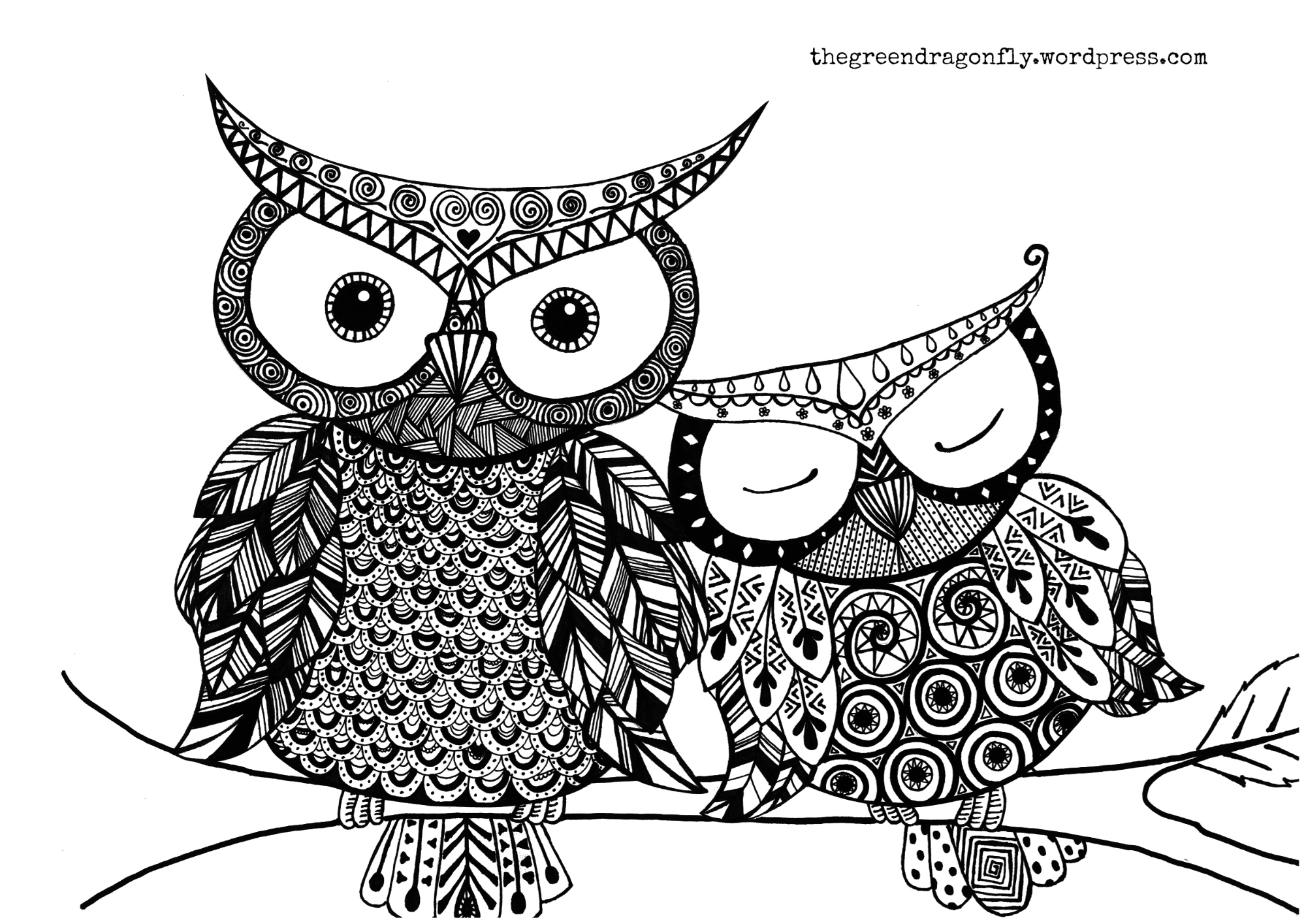 Owl Coloring Page The Green Dragonfly Owl Coloring Page The Green Dragonfly