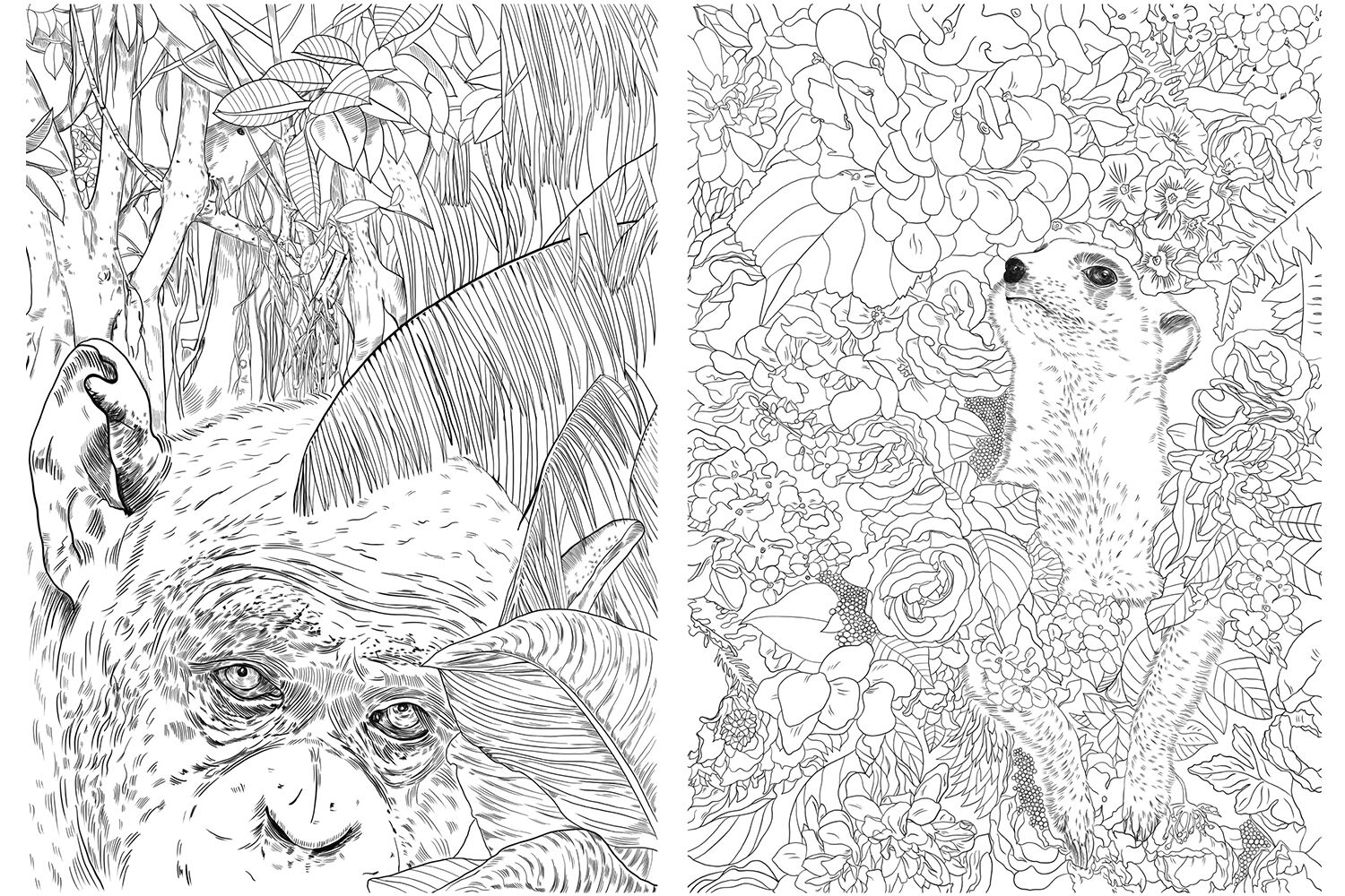Pages For Coloring Nature And Animals By TROPHY TheHungryJPEG Pages For Coloring Nature And Animals By TROPHY TheHungryJPEG