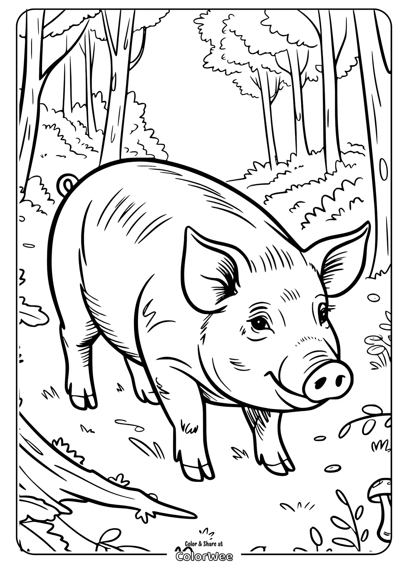 Pig Coloring And Facts Web Story Sneak Peek 