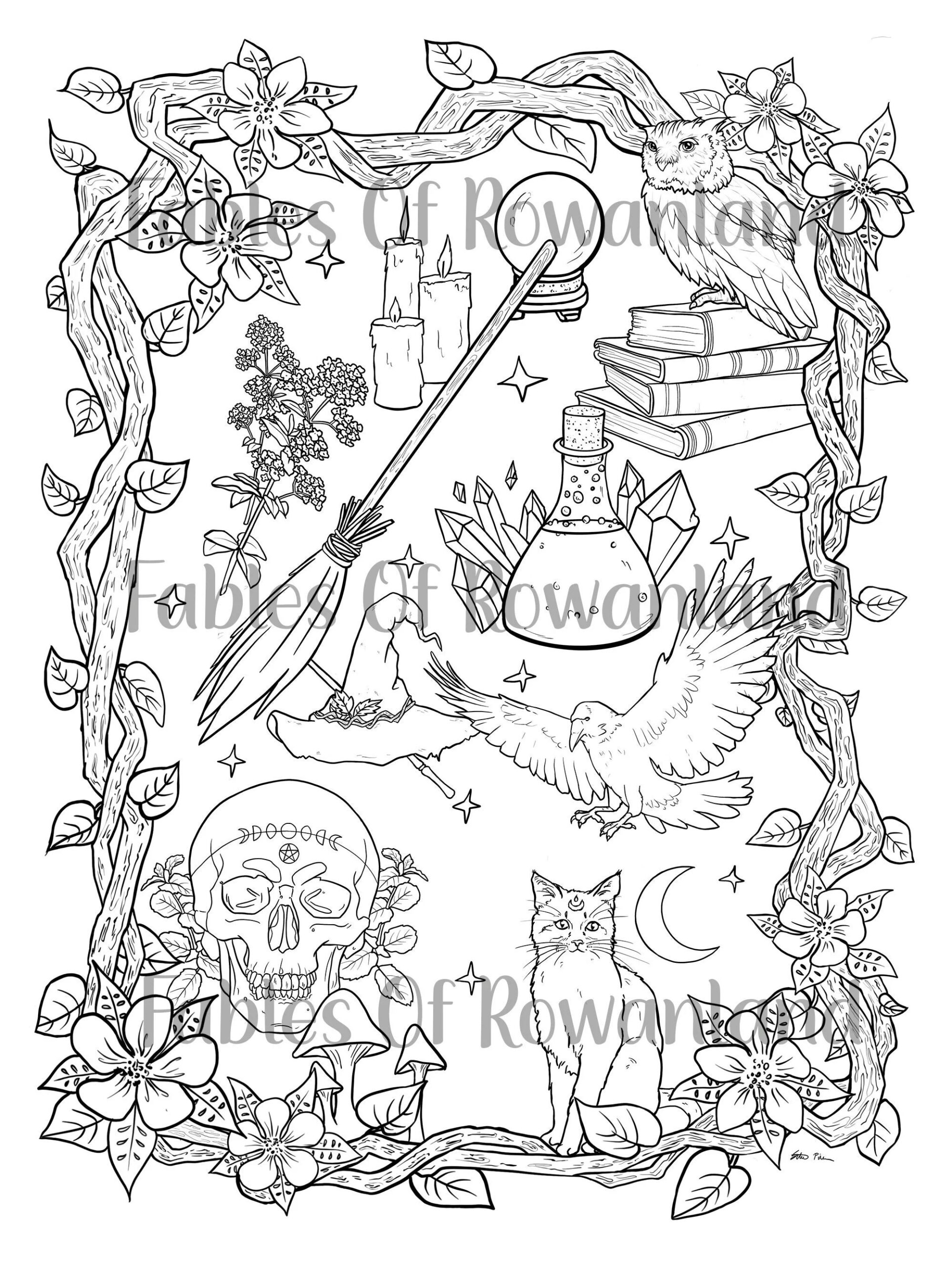 Practical Magic Beginner Witch Coloring Pages Aesthetic Adult Coloring Page Dark Fantasy Art Etsy Practical Magic Beginner Witch Coloring Pages Aesthetic Adult Coloring Page Dark Fantasy Art Etsy