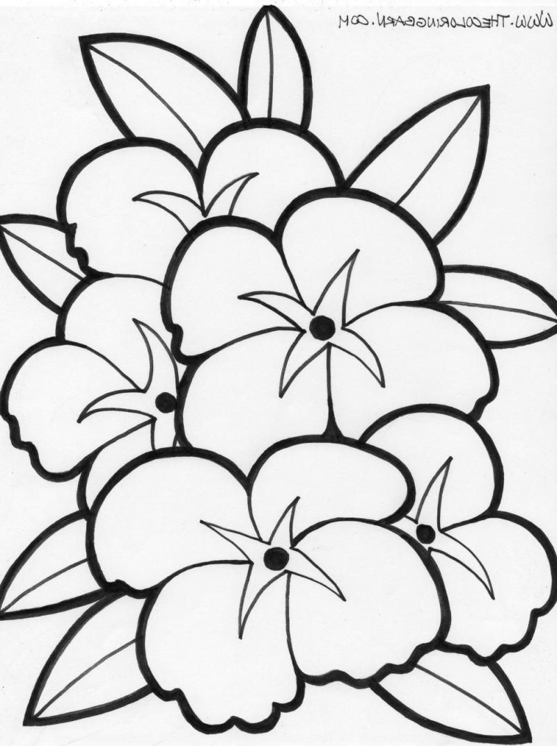 Printable Easy Coloring Pages For Seniors 547330