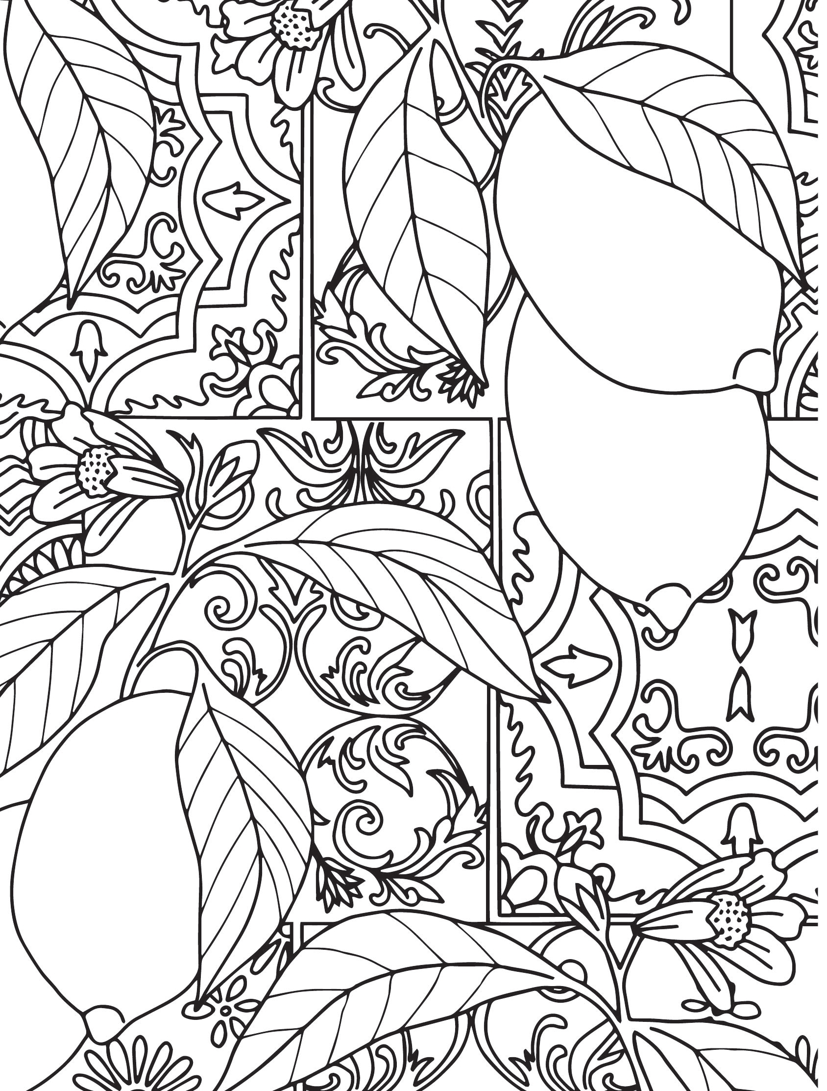 Adult Coloring Pages Patterns Printable Adult Coloring Pages Patterns Printable