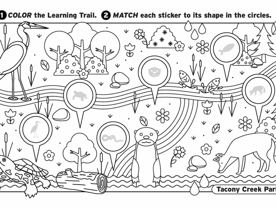River Alive Learning Trail Coloring Pages TTF Watershed