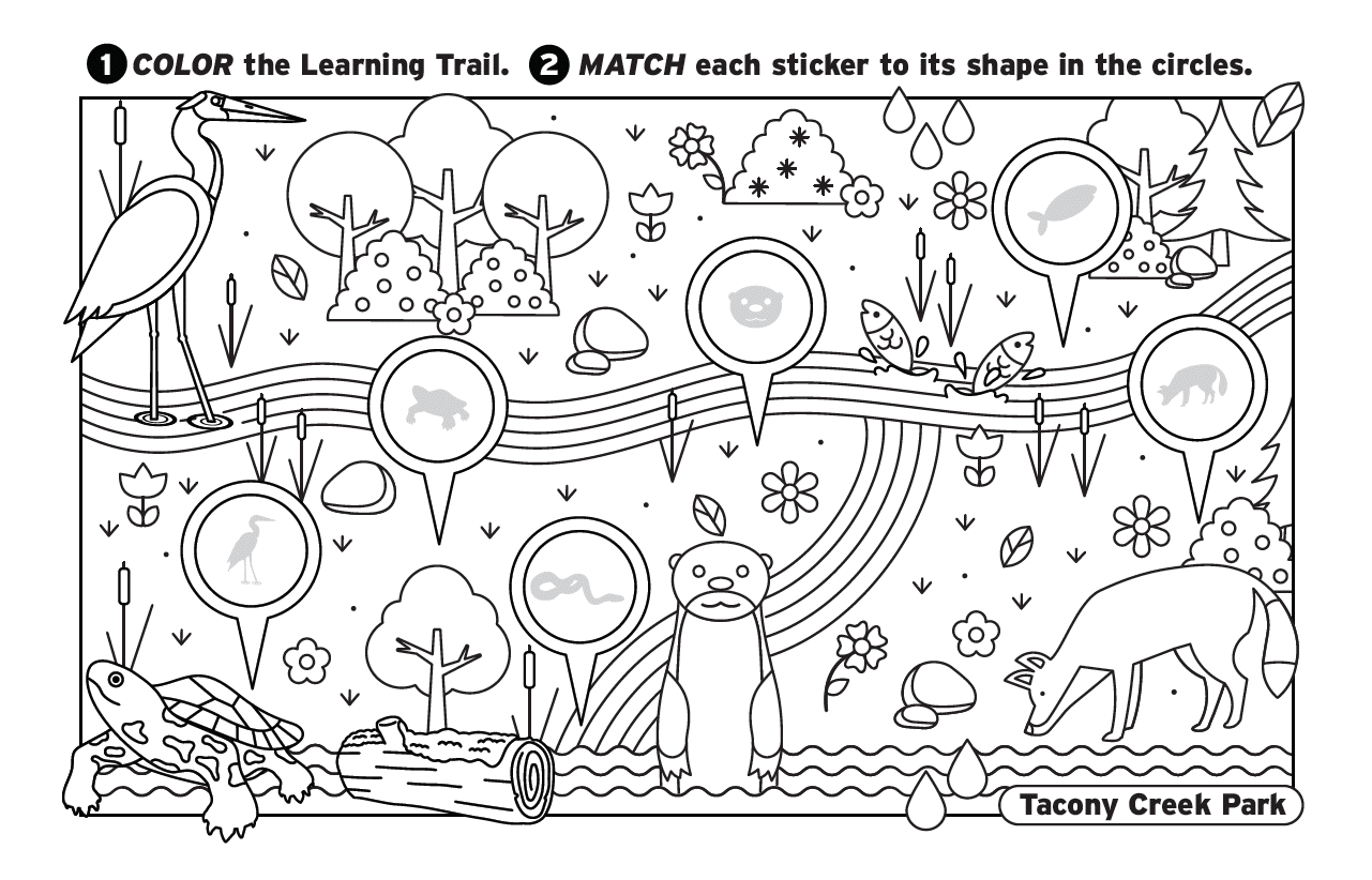 River Alive Learning Trail Coloring Pages TTF Watershed