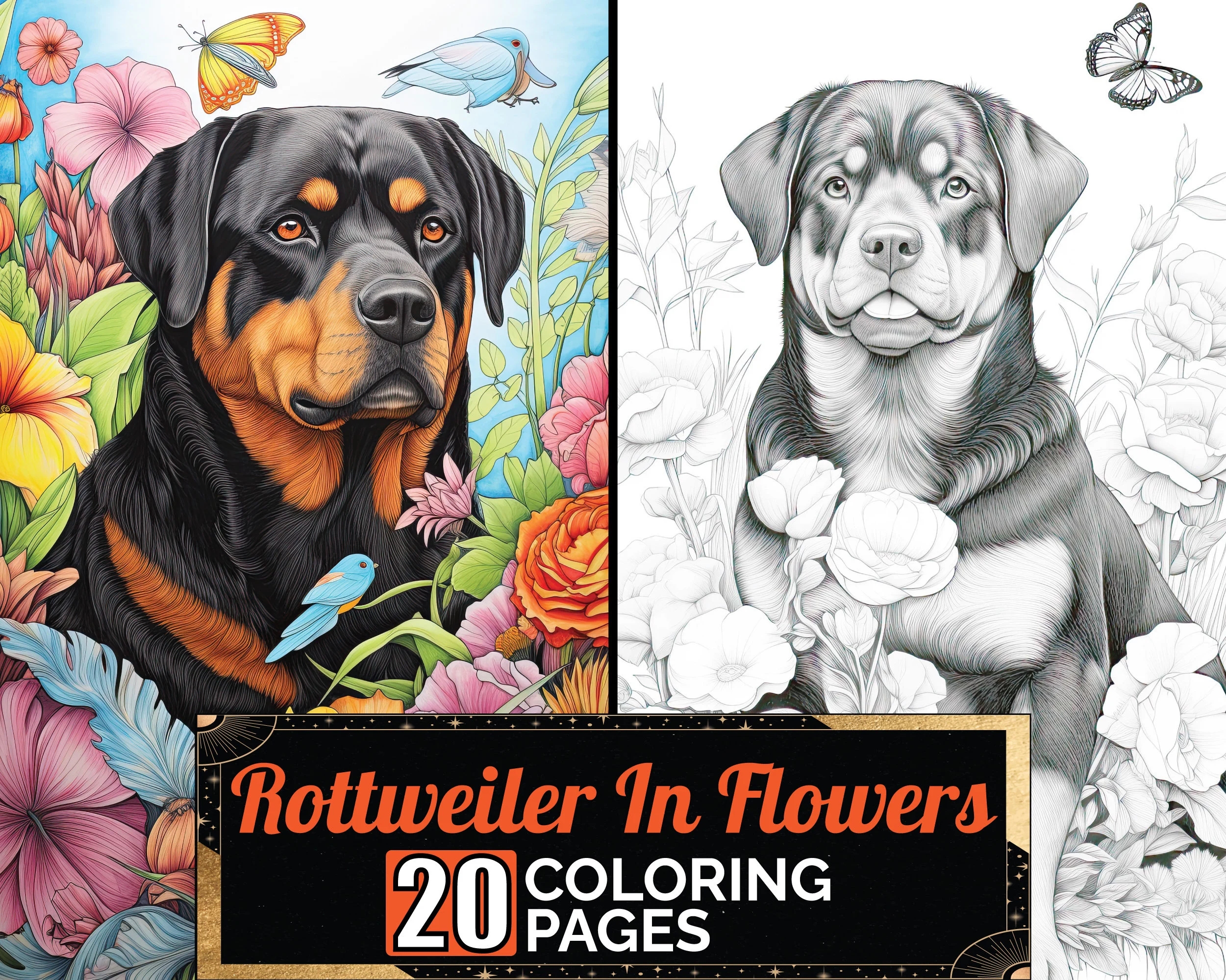 Rottweiler Dog Coloring Pages