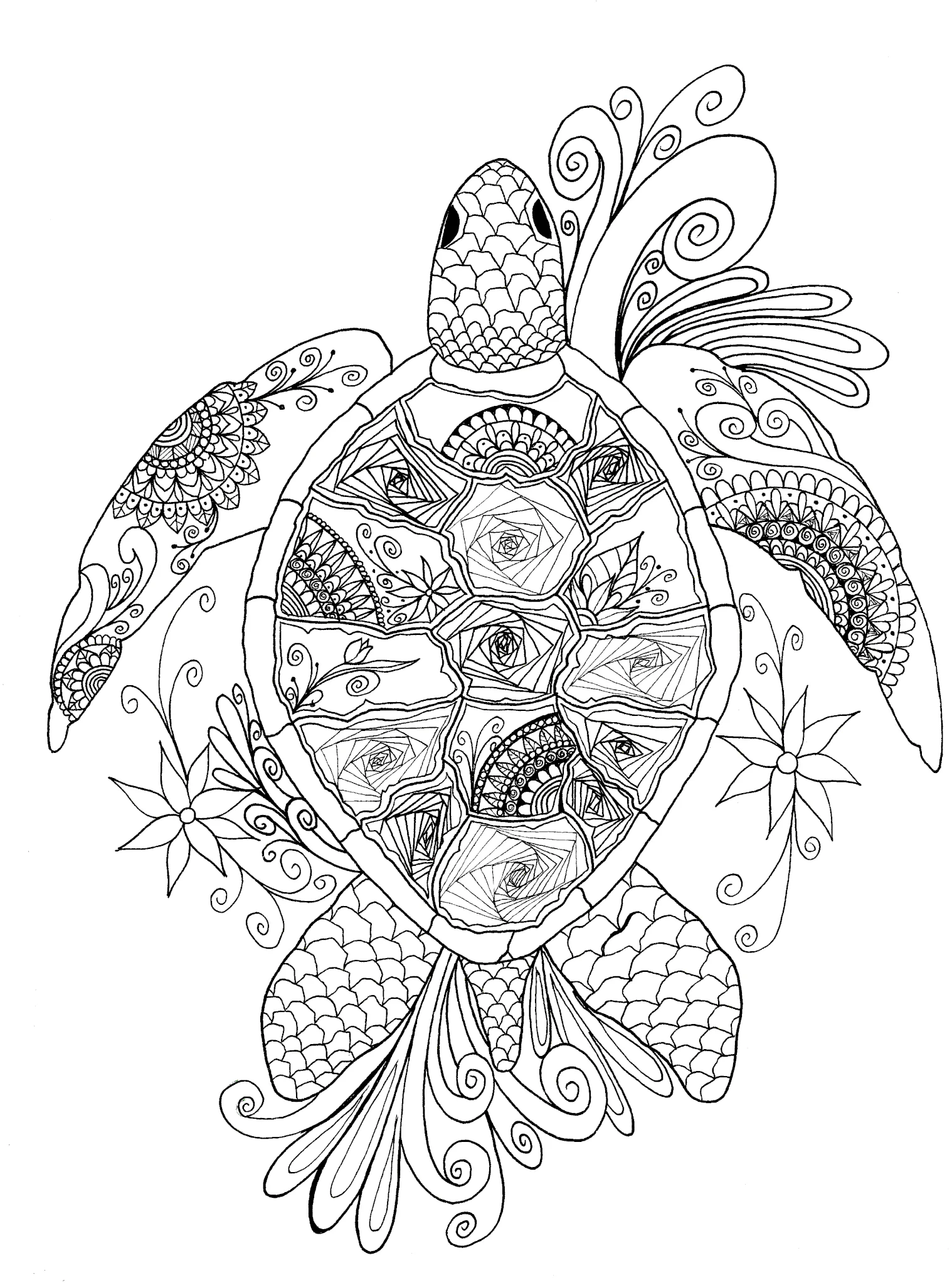 Sea Turtle A Free Coloring Page For You To Download Today Sea Turtle A Free Coloring Page For You To Download Today