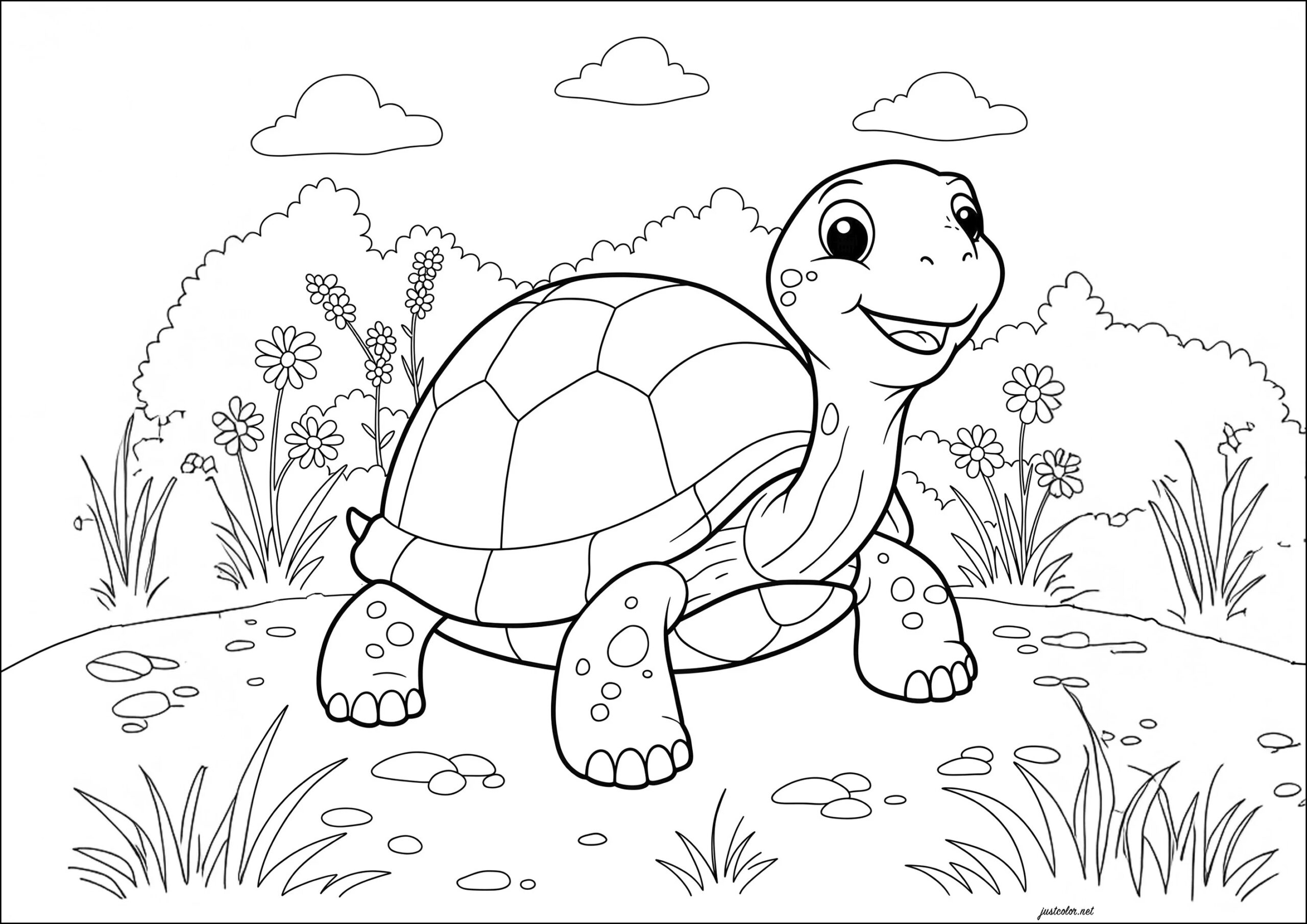 Mini Turtle Coloring Pages Mini Turtle Coloring Pages