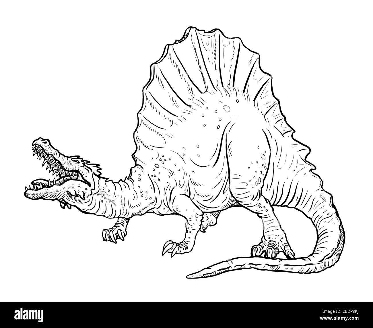 Spinosaurus Black And White Stock Photos Images Alamy