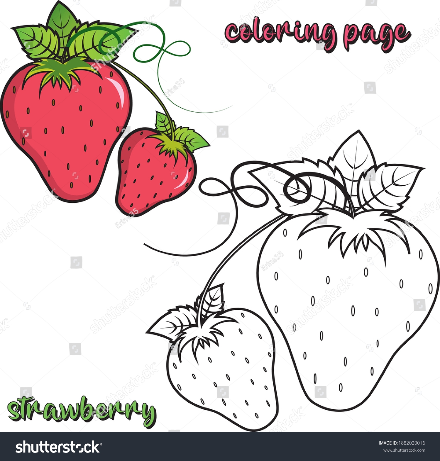 Strawberry Fruit Coloring Pages