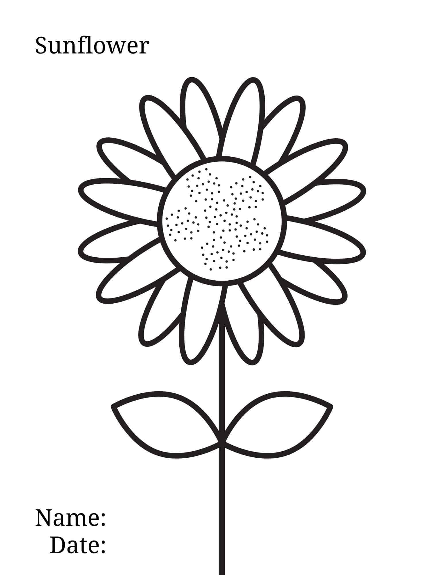 Sunflower Coloring Page Brighten Your Day With Floral Fun 