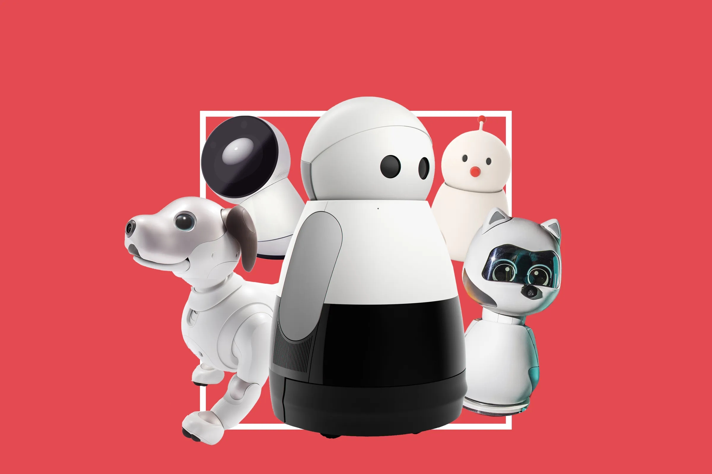 The Second Coming Of The Robot Pet WIRED