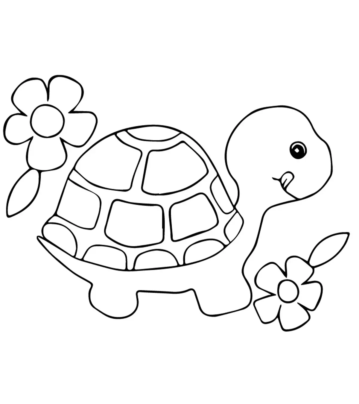 Top 20 Free Printable Turtle Coloring Pages For Toddlers Top 20 Free Printable Turtle Coloring Pages For Toddlers