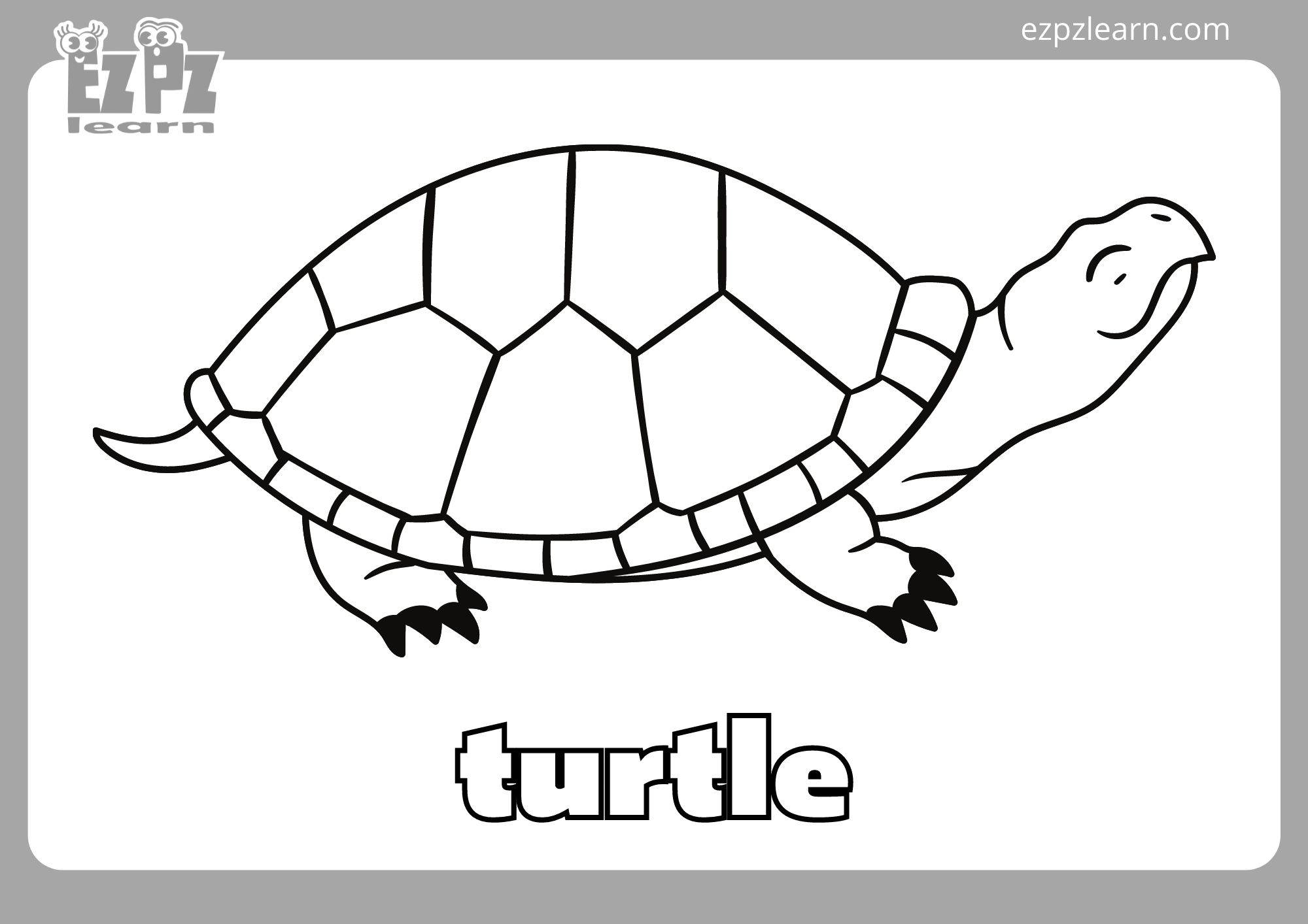 Turtle Coloring Page Ezpzlearn Turtle Coloring Page Ezpzlearn