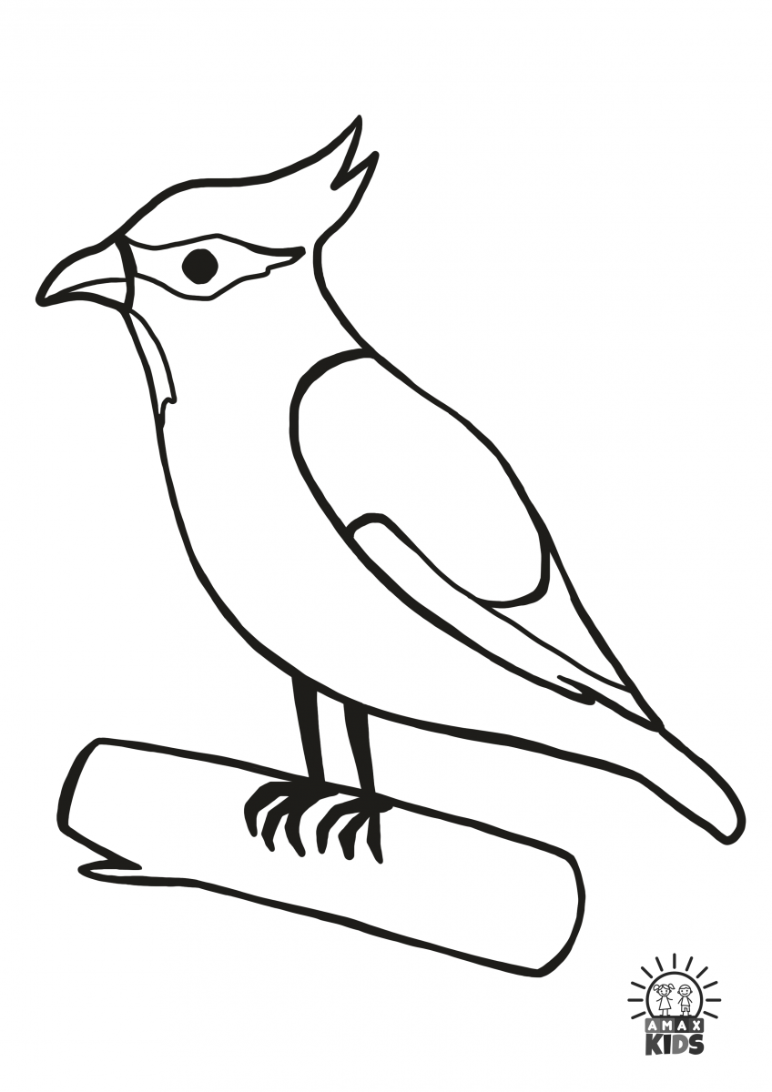 Simple Bird Coloring Pages