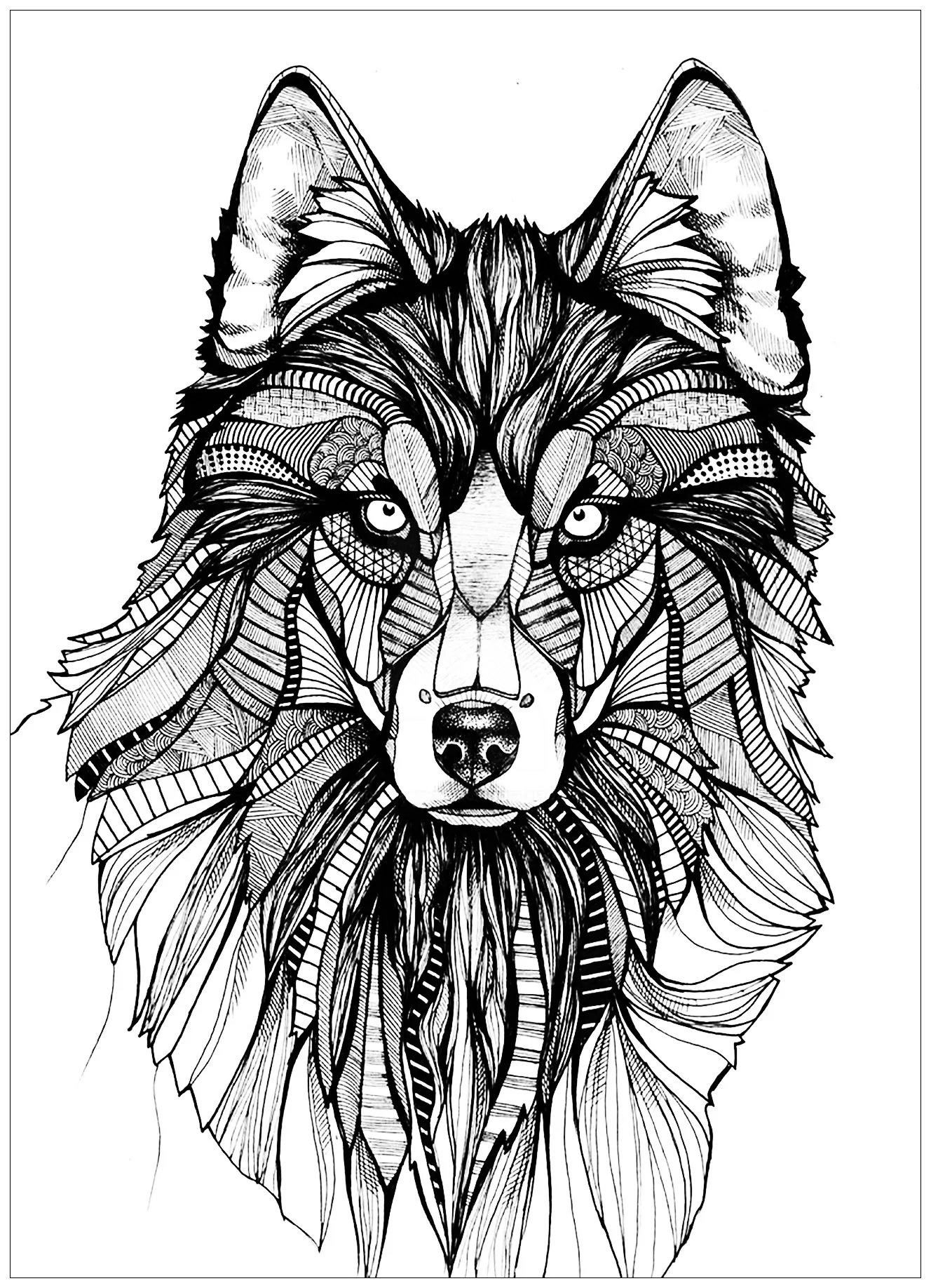 Wolf 3 Wolf Coloring Pages For Adults Wolf 3 Wolf Coloring Pages For Adults