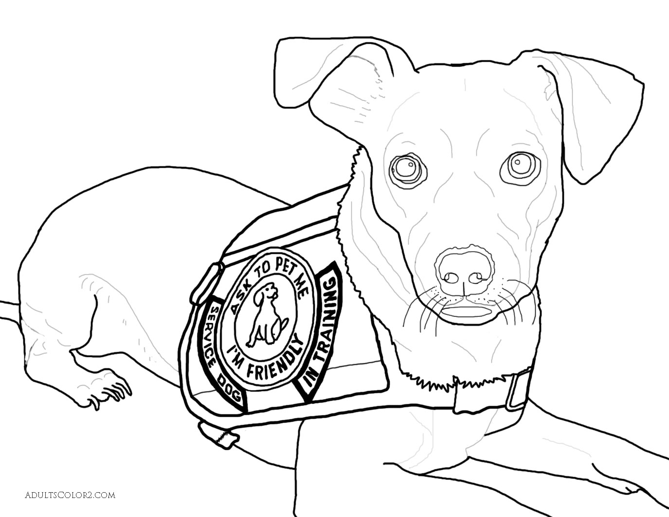 Working Dogs Crucial Canines