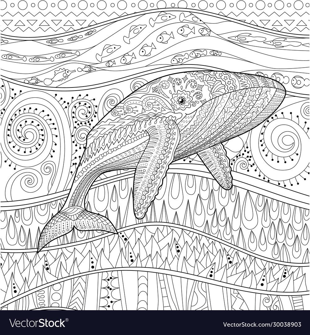 Zentangle Blue Whale Coloring Page Royalty Free Vector Image Zentangle Blue Whale Coloring Page Royalty Free Vector Image