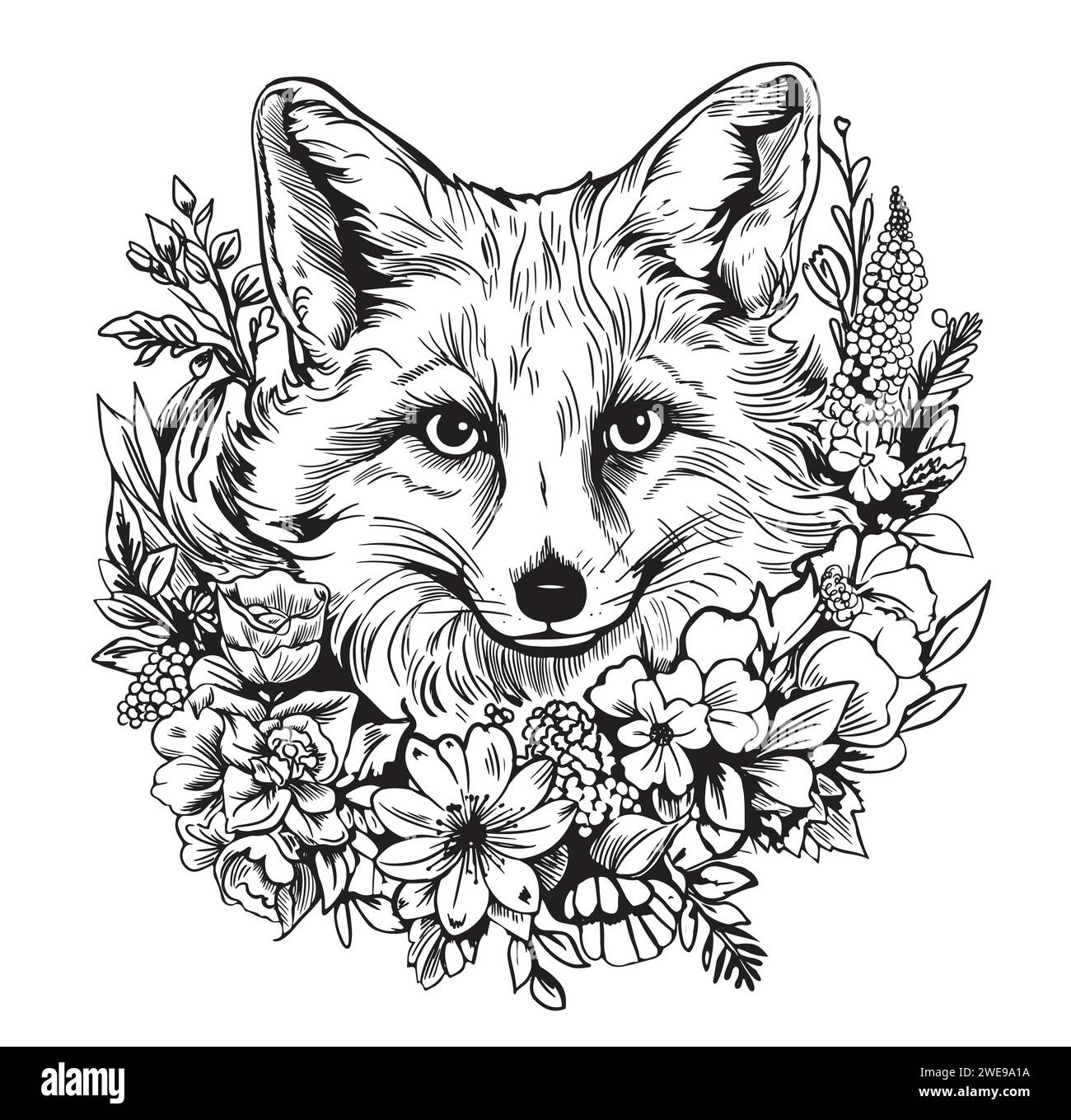 Zentangle Fox Coloring Pages Hi res Stock Photography And Images Alamy